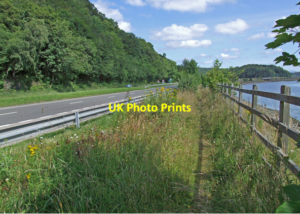 Photo 6"x4" Road south of Greenodd Greenodd c2009