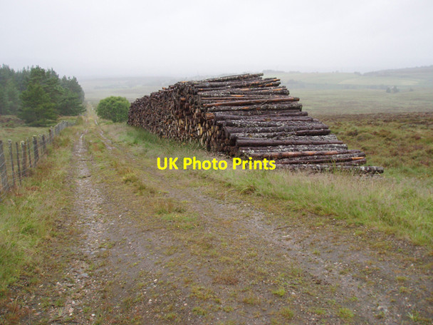 Photo 6"x4" Timber stack, Revack Wood Anagach c2009