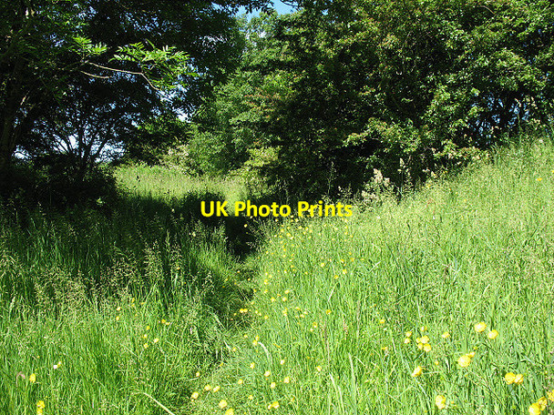 Photo 6"x4" Railway path near Waitby Kirkby Stephen c2009