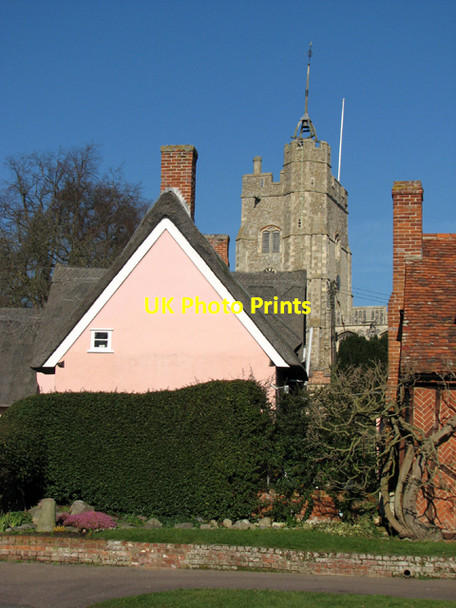 Photo 6"x4" Suffolk Pink Cavendish c2008