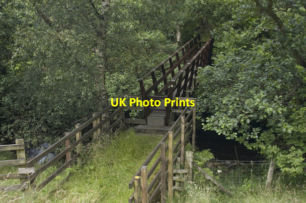 Photo 6"x4" Footbridge over the Marshaw Wyre Abbeystead c2009