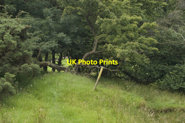 Photo 6"x4" Waymarker on path to Abbeystead Abbeystead c2009