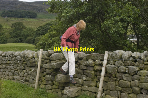 Photo 6"x4" Wall stile on Tarnbrook footpath Tarnbrook c2009