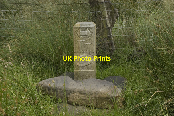 Photo 6"x4" Waymarker on the Wyre Way above Tarnbrook Tarnbrook c2009