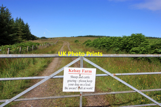Photo 6"x4" Entering Kelsay Farm Nerabus c2009