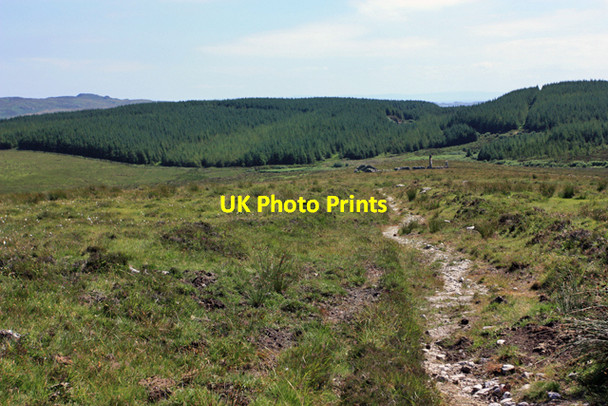 Photo 6"x4" Track to Frachdale Risabus c2009