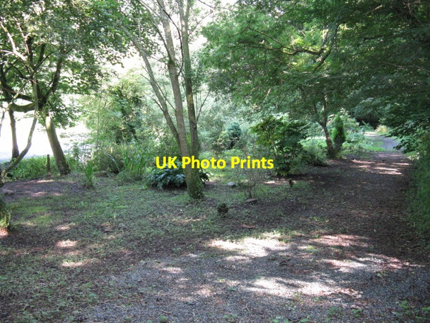 Photo 6"x4" Woodland Footpath Near Pill Priory Milford Haven\/Aberdaughleddau c2009
