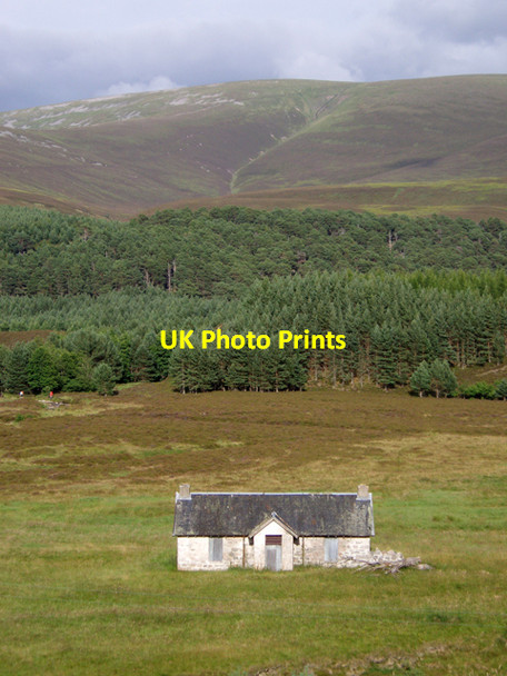 Photo 6"x4" Achleum, Glenfeshie Tolvah c2009