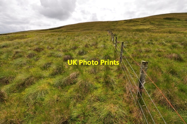 Photo 6"x4" North East slope of Penbreck Earncraig Hill c2009