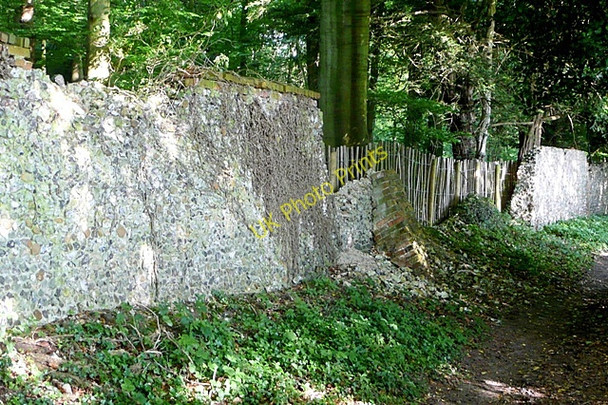 Photo 6"x4" Wall of Basildon Park Lower Basildon c2009