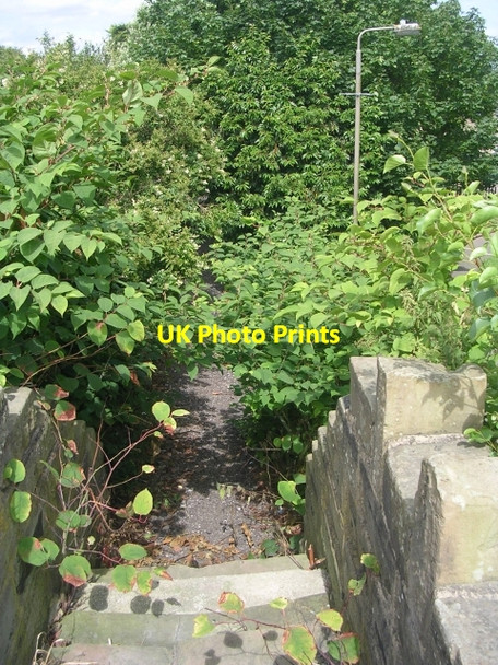 Photo 6"x4" Footpath - Norristhorpe Lane Liversedge c2009