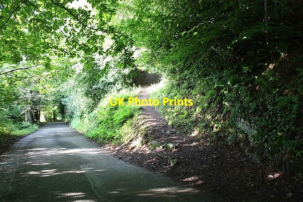 Photo 6"x4" Foley Terrace Great Malvern c2009 P1