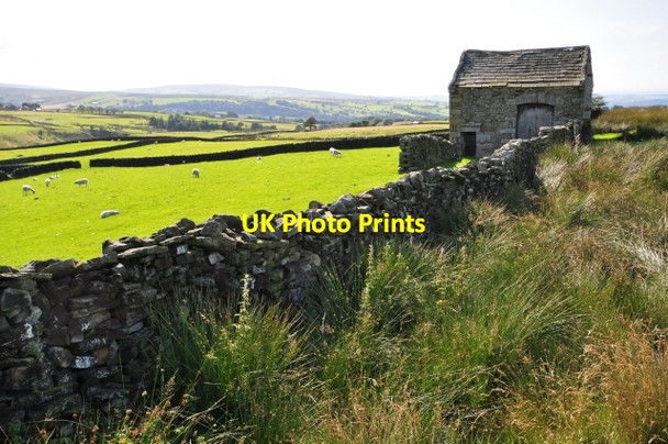 Photo 6"x4" Barn and fellside Lowgill\/SD6564 c2009