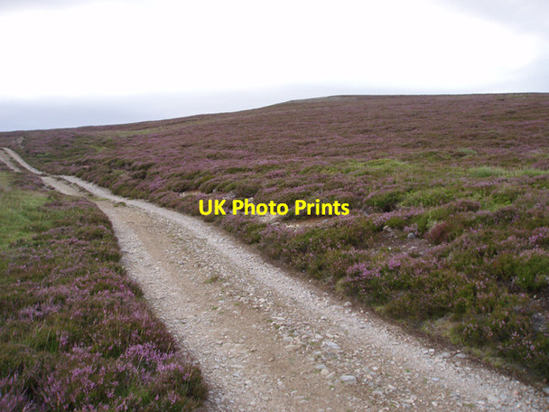 Photo 6"x4" Track on Carn Thearlaich Allt an T\u00f9dair c2009