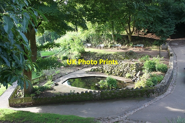 Photo 6"x4" Pond garden near St. Ann's Well Great Malvern c2009