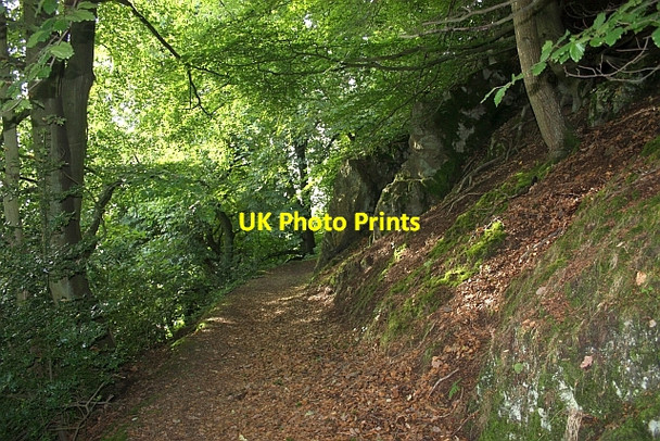 Photo 6"x4" Path to Foley Terrace Great Malvern c2009