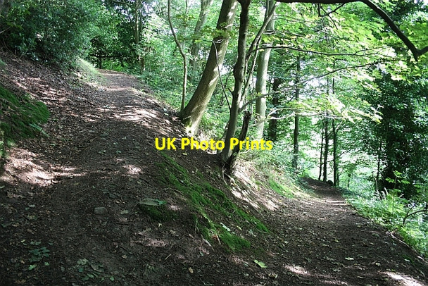 Photo 6"x4" Path down to Foley Terrace Great Malvern c2009