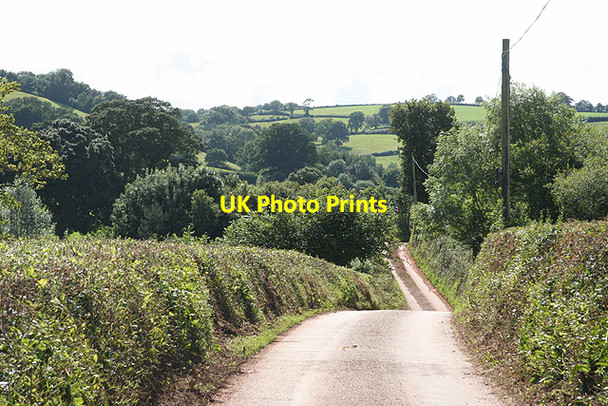 Photo 6"x4" Cullompton: Colebrooke Lane Colebrook c2009