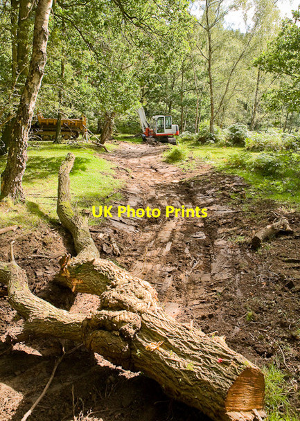 Photo 6"x4" Warwickslade Cutting: the new stream takes shape Bank\/SU2807 c2009