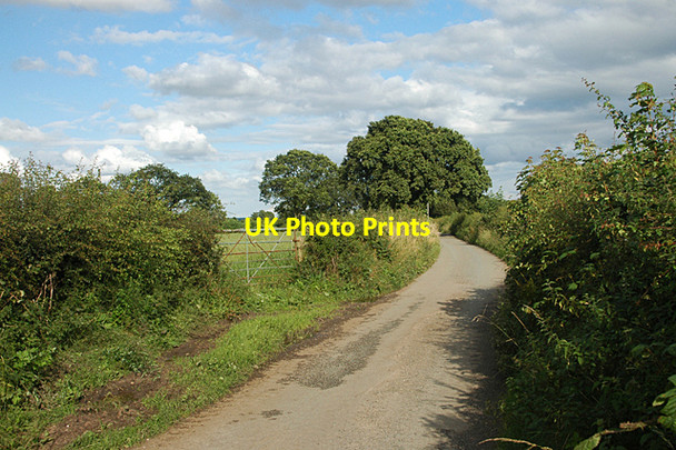 Photo 6"x4" Just another ordinary lane in Shropshire Ruewood c2009