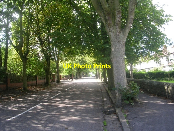 Photo 6"x4" Lidgett Park Avenue - viewed from Shaftesbury Avenue Lidgett Park c2009