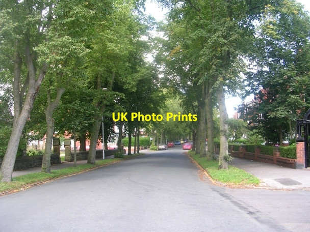 Photo 6"x4" Shaftesbury Avenue - viewed from The Avenue Lidgett Park c2009