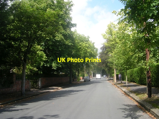 Photo 6"x4" Devonshire Avenue - Lidgett Park Avenue Lidgett Park c2009
