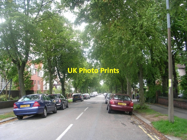 Photo 6"x4" Devonshire Avenue - Street Lane Lidgett Park c2009