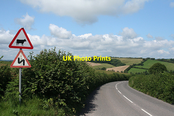 Photo 6"x4" Dunsford: the road from Longdown Longdown\/SX8691 c2009