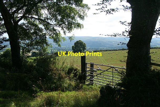 Photo 6"x4" Moretonhampstead: above Pepperdon Doccombe c2009