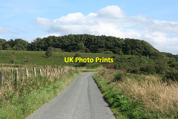 Photo 6"x4" Moretonhampstead: on Pepperdon Down Doccombe c2009