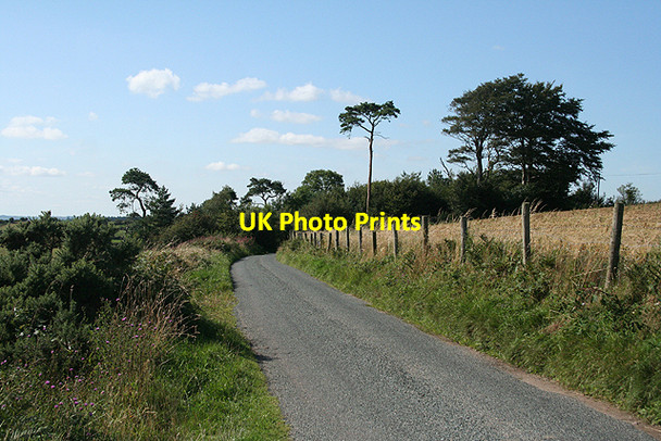 Photo 6"x4" Moretonhampstead: on Pepperdon Down 2 Doccombe c2009