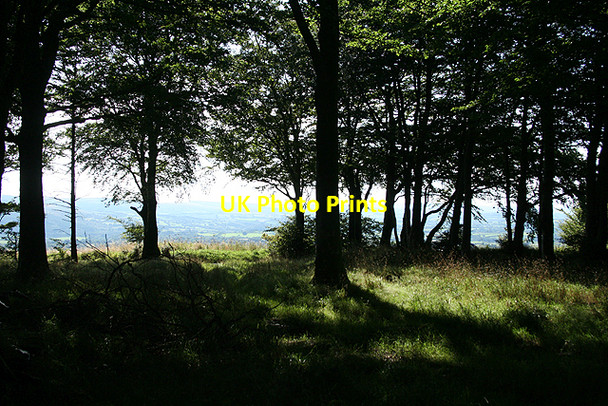 Photo 6"x4" Moretonhampstead: on Pepperdon Down 3 Doccombe c2009