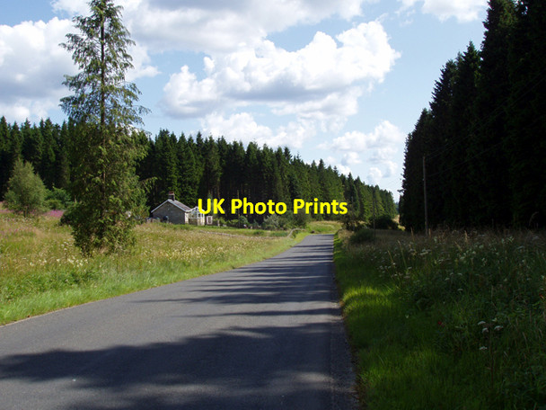 Photo 6"x4" Road through Kielder Forest with Kittythirst Cottage Kielder c2009