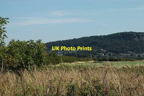 Photo 6"x4" Field & hedges on Helsby Marsh Helsby c2009