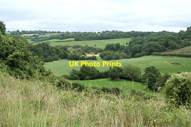 Photo 6"x4" Wellow: the Wellow valley Midford c2009