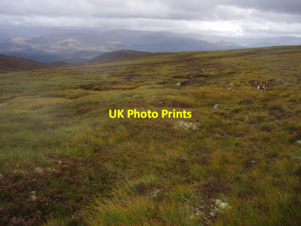 Photo 6"x4" Line of old track Lynwilg c2009