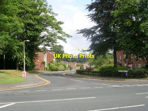 Photo 6"x4" The Spinney - Street Lane Lidgett Park c2009