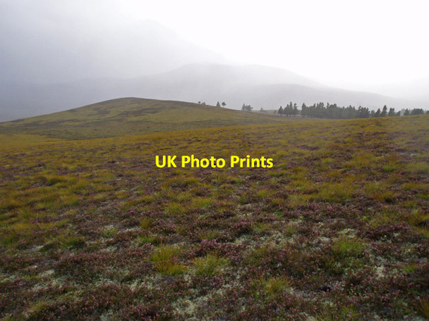 Photo 6"x4" A ridge south of Garbh-mheall Mor Garbh-mheall M\u00f2r\/NH8317 c2009