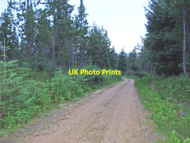 Photo 6"x4" Forest track on Carn Dubh Carn Dubh\/NJ1626 c2009