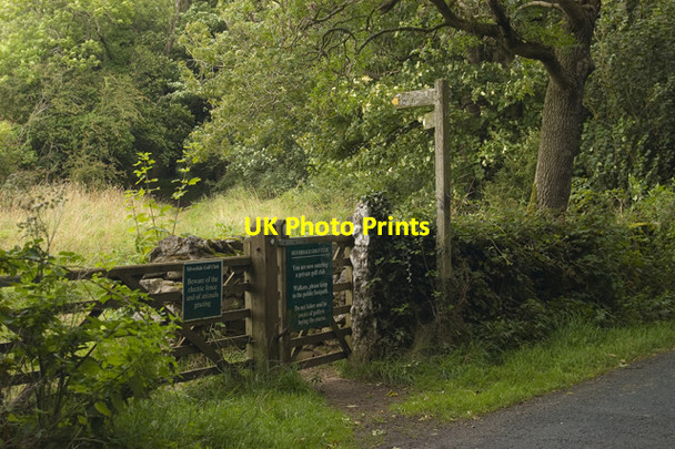 Photo 6"x4" Footpath across Silverdale Golf Course Red Bridge c2009