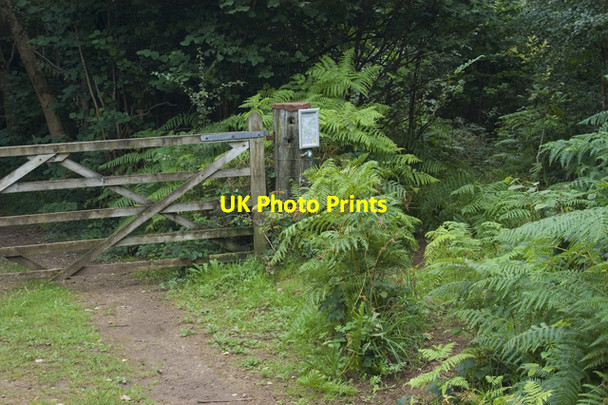 Photo 6"x4" Permissive footpath junction, Yealand Hall Allotment Waterslack c2009