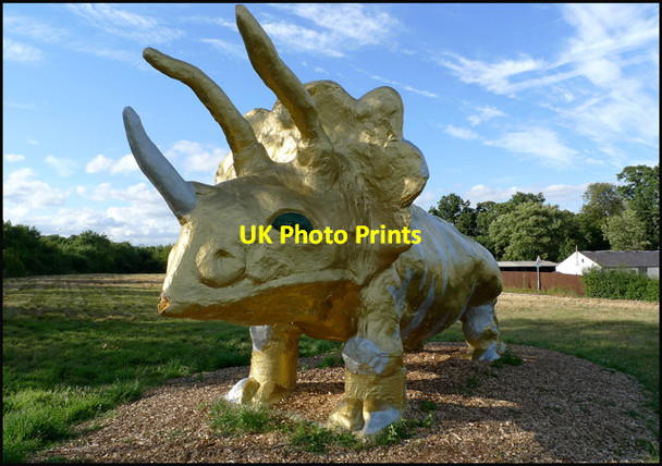 Photo 6"x4" Triceratops, Milton Keynes. Milton Keynes c2009