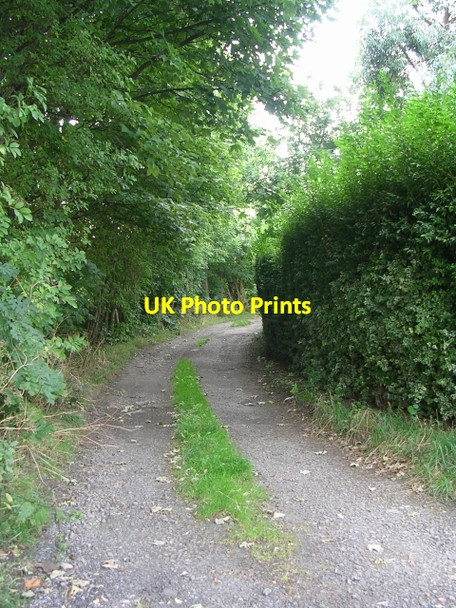 Photo 6"x4" Footpath - New Street Pudsey\/SE2233 c2009
