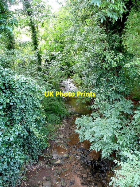 Photo 6"x4" The Wriggles Brook Altbough c2009