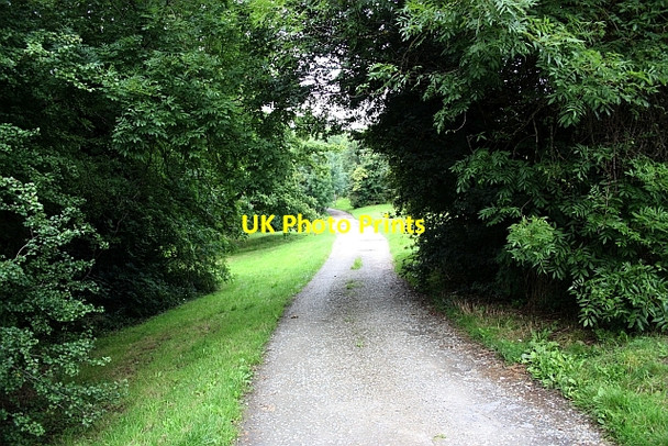 Photo 6"x4" Track over Malvern Link Common Great Malvern c2009