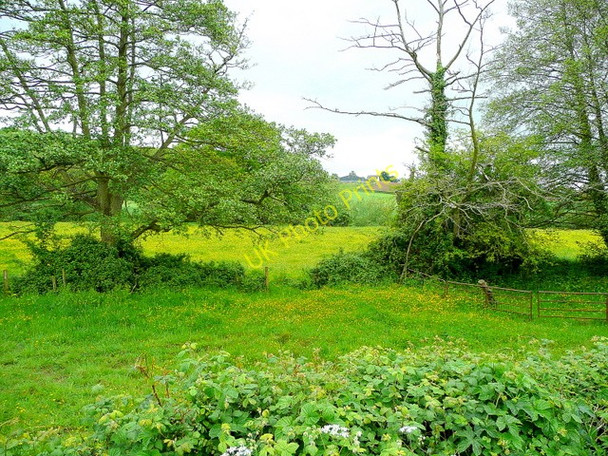Photo 6"x4" Monnow meadows Monmouth\/Trefynwy c2009