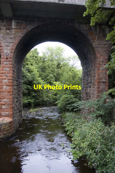 Photo 6"x4" Water of Leith, Colinton Dell Bonaly c2009