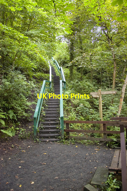Photo 6"x4" Stairway on footpath from Colinton Dell Bonaly c2009