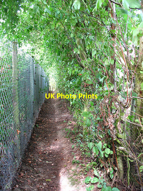 Photo 6"x4" Footpath to the orchard Rhode Common c2009